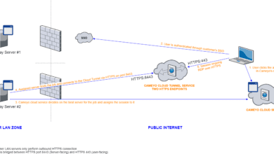 Cameyo Secure Cloud Tunneling architecture overview