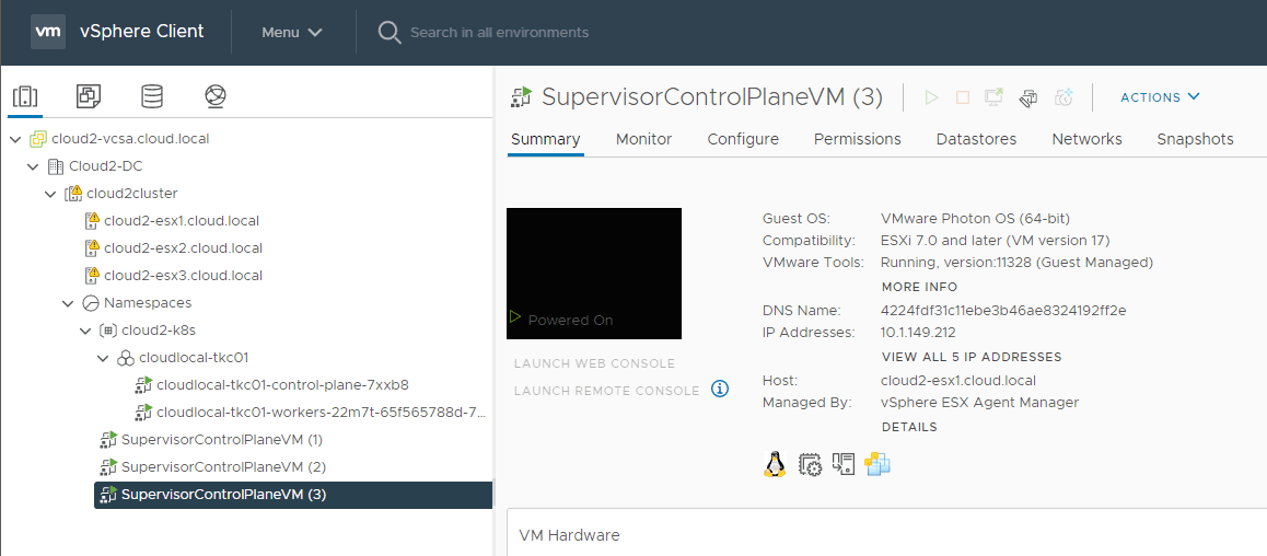 vSphere with Tanzu Kubernetes environment