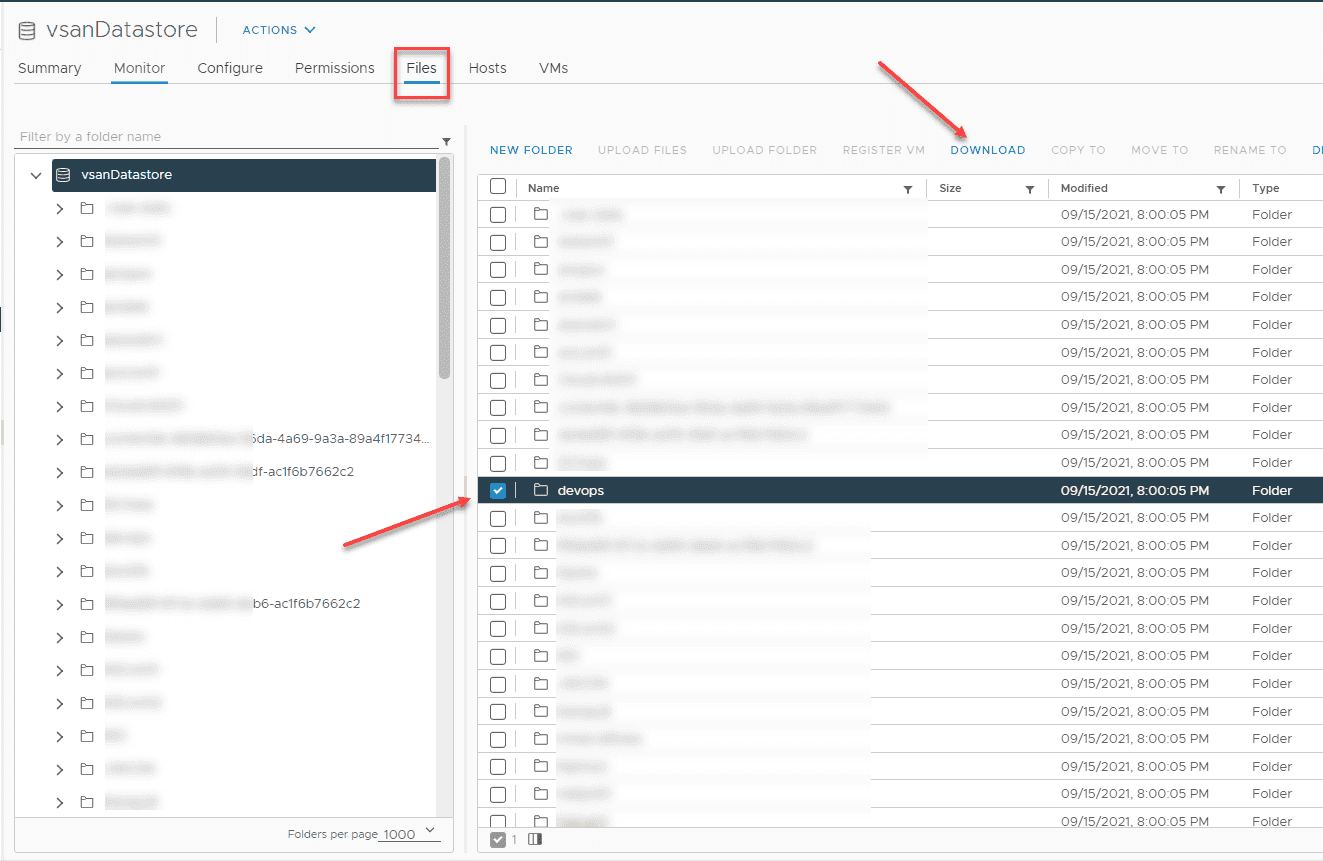 Download the files from the vSphere web client