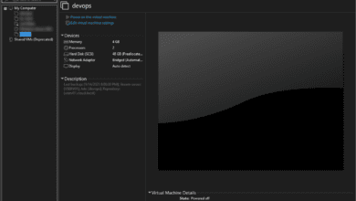 The vSphere VM is imported in VMware Workstation without issue