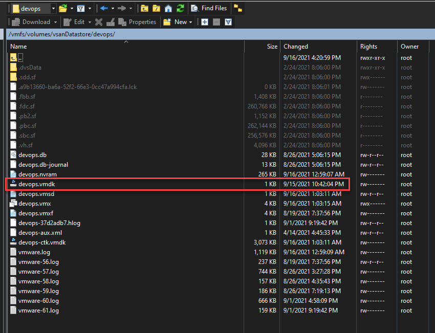 Viewing VM files low level on the vsanDatastore in vSphere