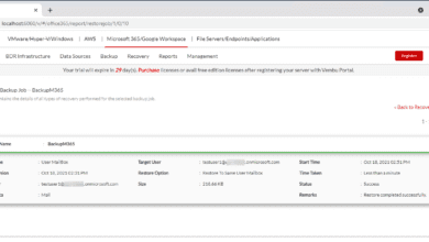 Viewing the Microsoft 365 recovery report once data has been recovered successfully