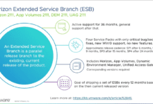 Horizon Extended Service Branch ESB