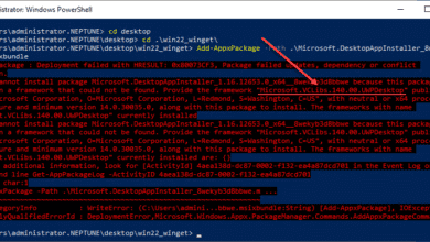 Installing the MSXI bundle for winget directly in Windows Server 2022