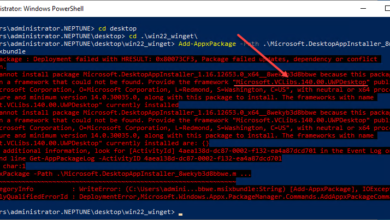 Installing the MSXI bundle for winget directly in Windows Server 2022