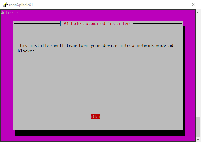 Beginning the Pihole installation in Ubuntu 21.04