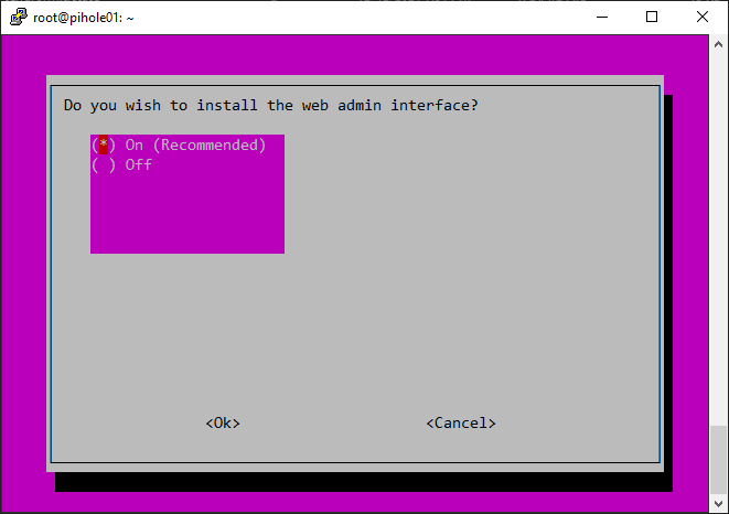 Choose to install the web interface for Pihole