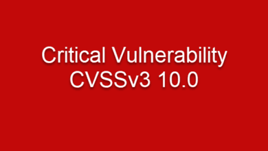 Critical Vulnerability in Apache Log4j CVE 2021 44228