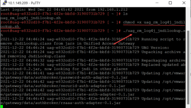 Running the Log4j remediation script on VMware Unified Access Gateways UAGs