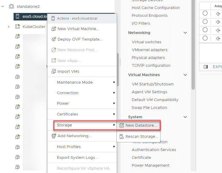 Choose to add storage to your ESXi host