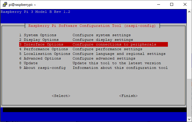 Choosing interface options in Raspberry Pi OS Lite to configure SSH