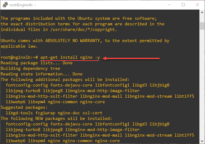 Installing Nginx in Ubuntu 20.04