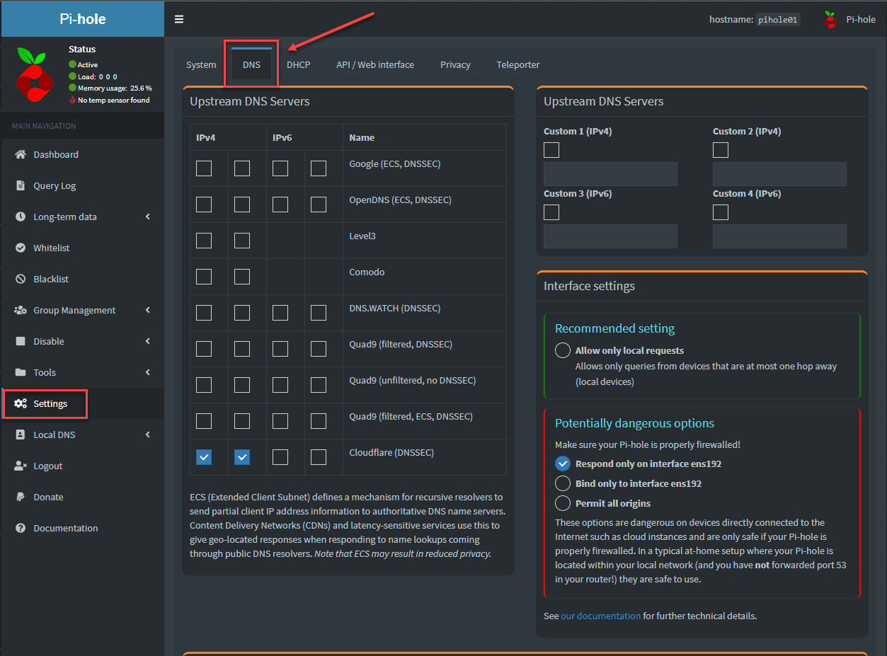 Viewing the DNS settings in Pi hole