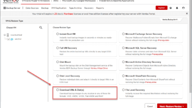 Use BDRSuite v5.1 to Download Disks and VMs for easy P2V and V2V conversions