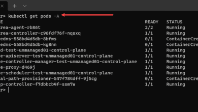 Viewing the pods in the unmanaged cluster