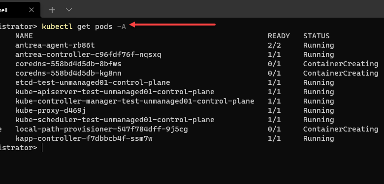 Viewing the pods in the unmanaged cluster