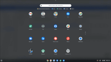 Using Cameyo Progressive Web Apps to deploy apps easily with Google Admin to Chrome OS devices