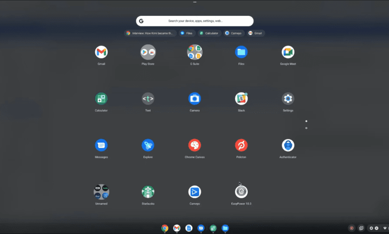 Using Cameyo Progressive Web Apps to deploy apps easily with Google Admin to Chrome OS devices