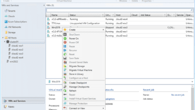 Viewing available options for VMware ESXi virtual machines in System Center Virtual Machine Manager 2022