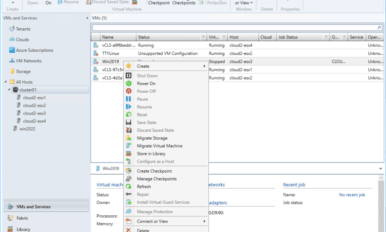 Viewing available options for VMware ESXi virtual machines in System Center Virtual Machine Manager 2022