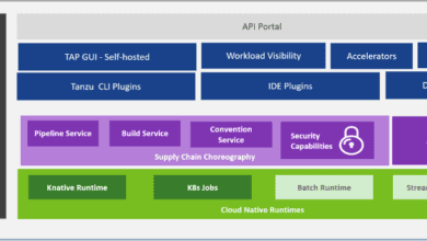 Overview of VMware Tanzu Application Platform