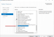 Windows Subsystem for Linux now available in Server Manager Features in Windows Server 2022