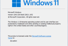 Checking the Windows 11 22H2 build number