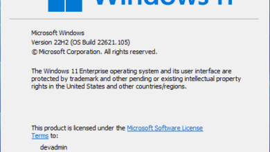 Checking the Windows 11 22H2 build number