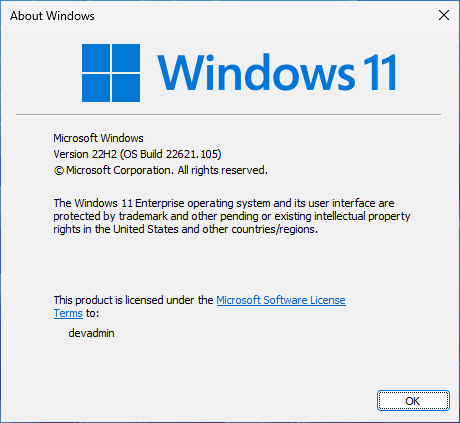 Checking the Windows 11 22H2 build number
