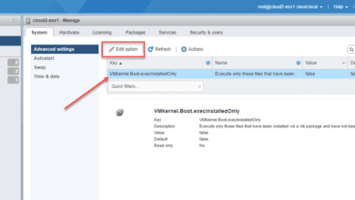 Enabling the execInstalledOnly security option in VMware ESXi