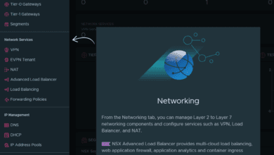 Software defined networking capabilities in VMware NSX