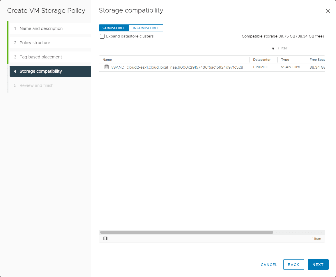 Storage compatibility for the vSAN Direct storage policy