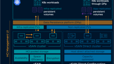 VMware vSAN direct high level overview of architecture