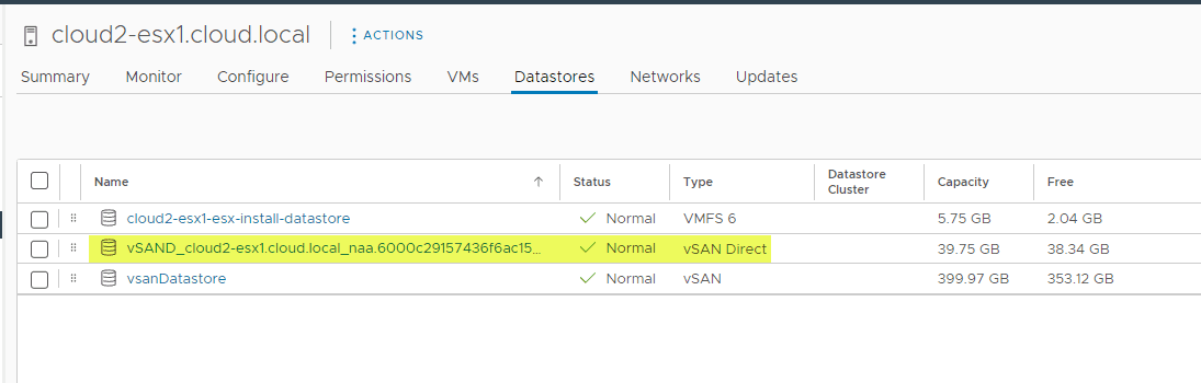 Viewing the new vSAN Direct datastore for the VMware ESXi host