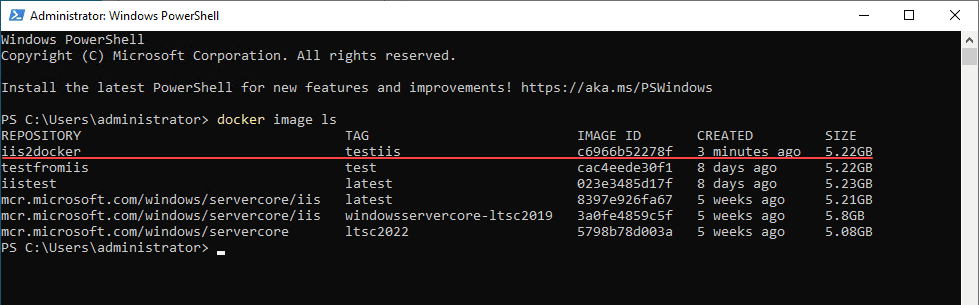 New container image is listed on the Windows Server container host