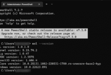 Issuing the wsl version command on a Microsoft Store installation of WSL