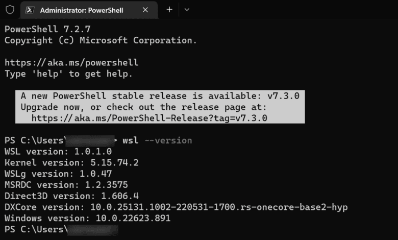 Issuing the wsl version command on a Microsoft Store installation of WSL