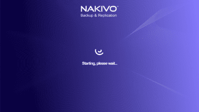 The NAKIVO solution starting up after deployment