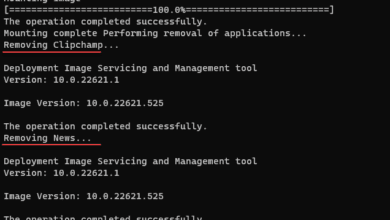 Tiny 11 - a lightweight Windows 11 needing only 12Gb disk and running on  4Gb of RAM - ESX Virtualization