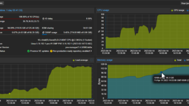 assign ip address vsphere