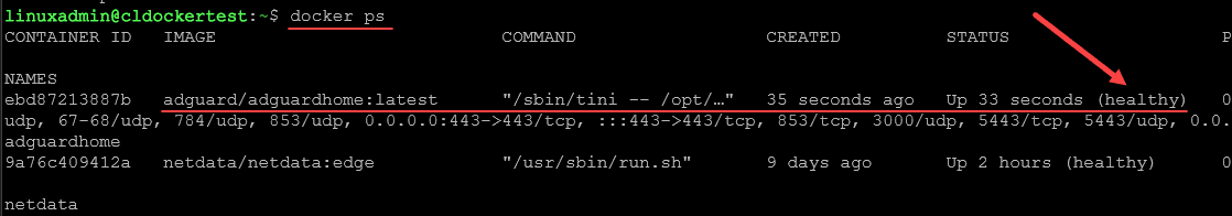 Checking the status of the new Adguard DNS container