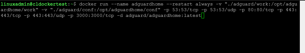 Getting ready to pull the latest Adguard Home DNS container