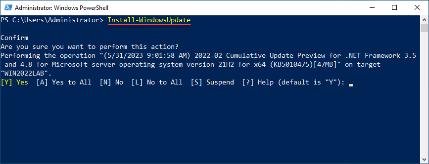 Running the Install WindowsUpdate command