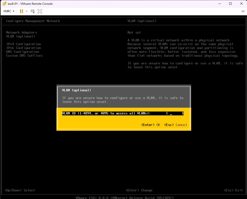 Setting VLANs for the management network