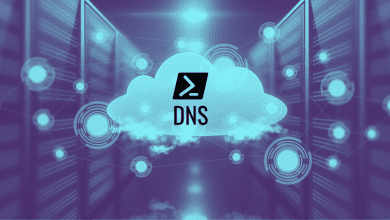 Get DNSname PowerShell DNS lookup