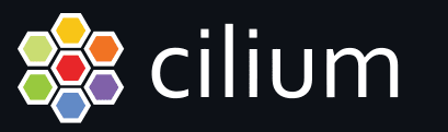 Cilium networking security project