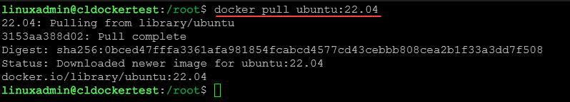 Pull the docker container