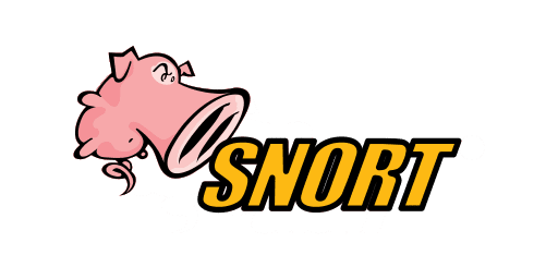 Snort network intrusion prevention
