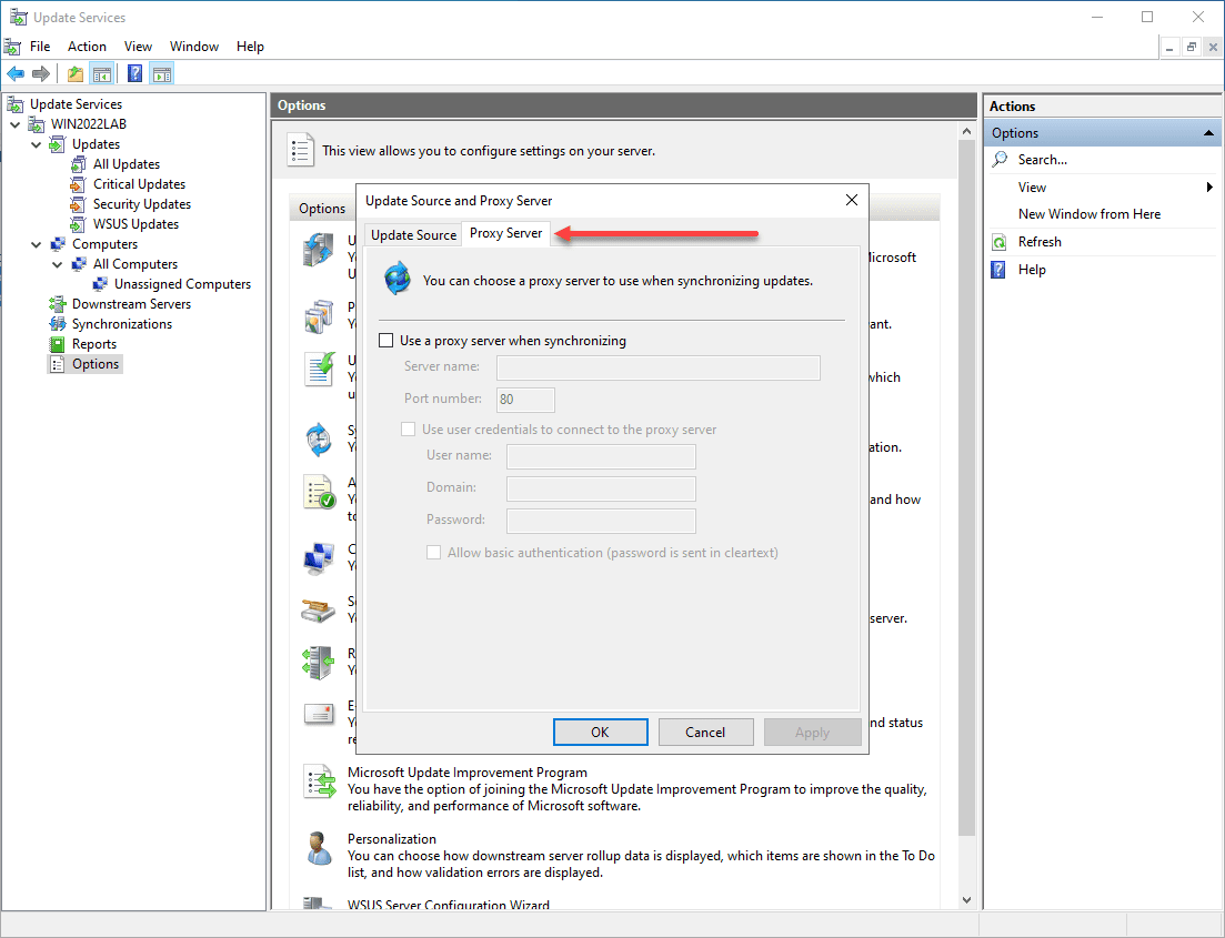 Checking proxy server settings in WSUS