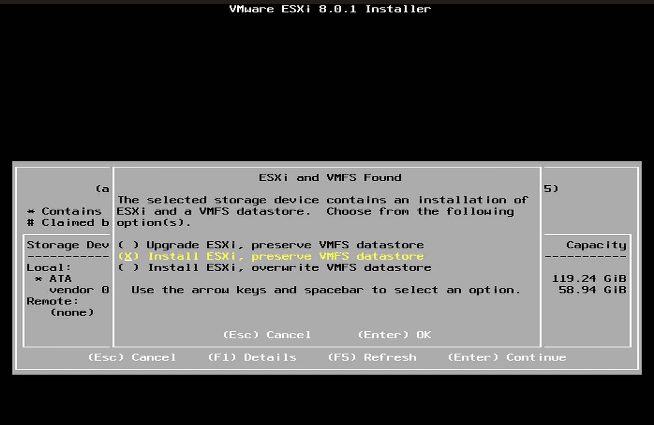 ESXi partition found decide what you want to do during installation